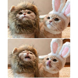 Cat Lion & Bunny Costume
