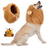 Lion Mane Dog Costume